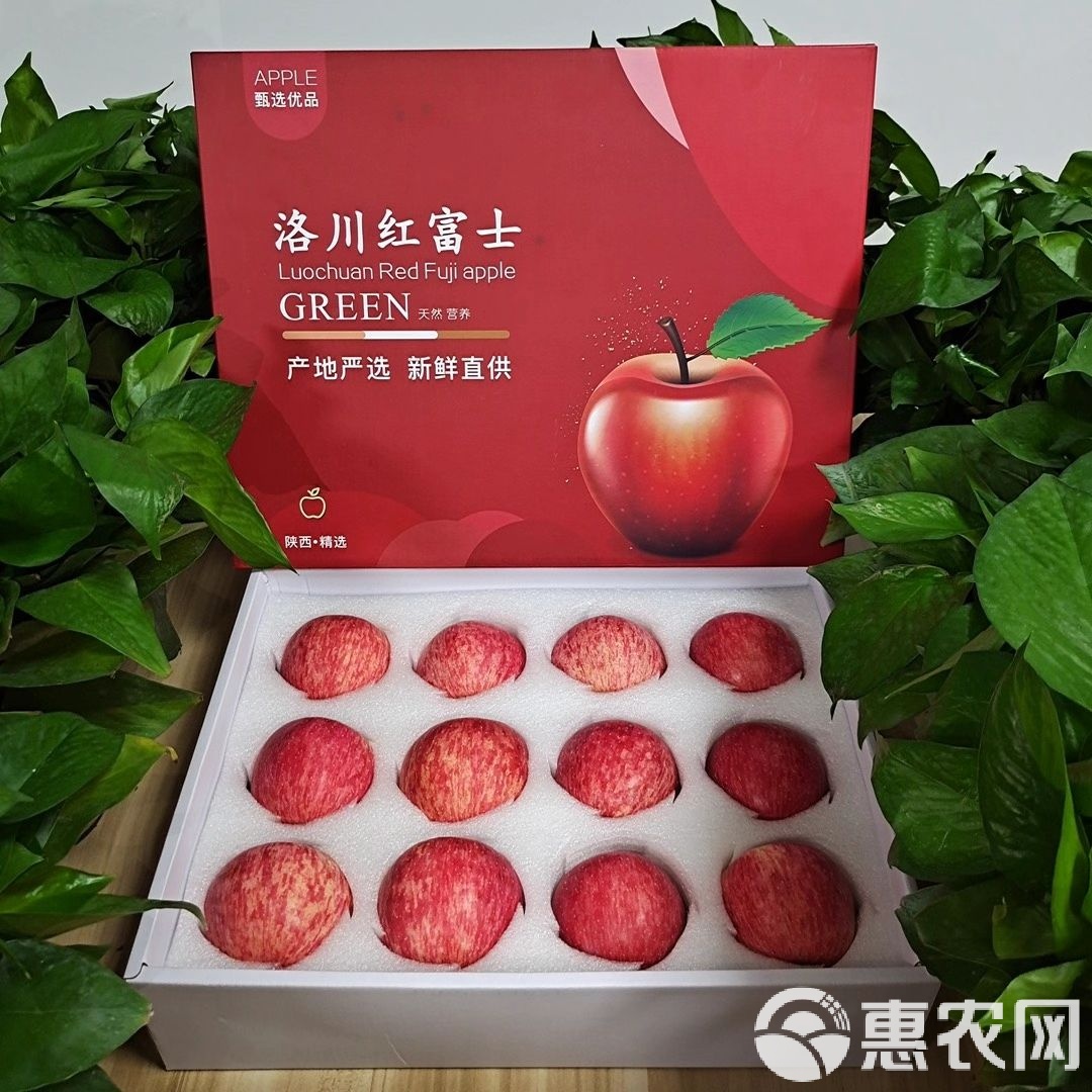 洛川苹果分级版(洛川苹果2019年价格怎么样)-第5张图片-QuickQ官网