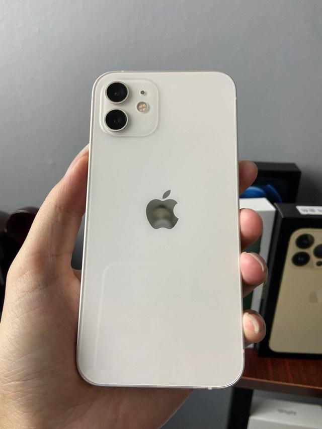 苹果12辐射版(苹果12辐射大?)-第1张图片-QuickQ官网