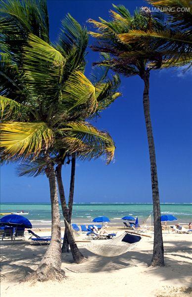 波多黎各手机版(波多黎各游戏攻略)