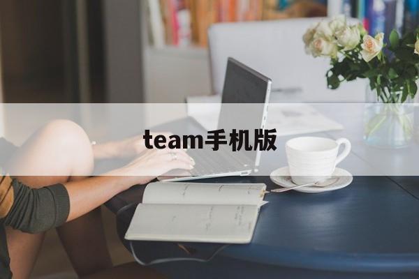 team手机版(我的人生steam手机版)-第4张图片-QuickQ官网