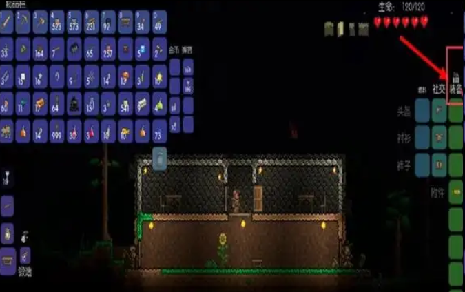 泰拉瑞亚盒子安卓版(泰拉瑞亚盒子免root版下载)