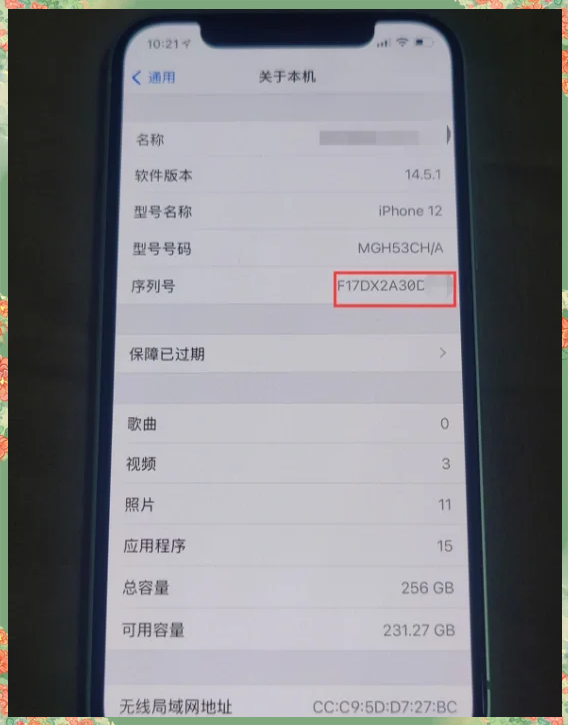 苹果bs版是什么版(苹果bs版手机是什么意思)-第2张图片-QuickQ官网