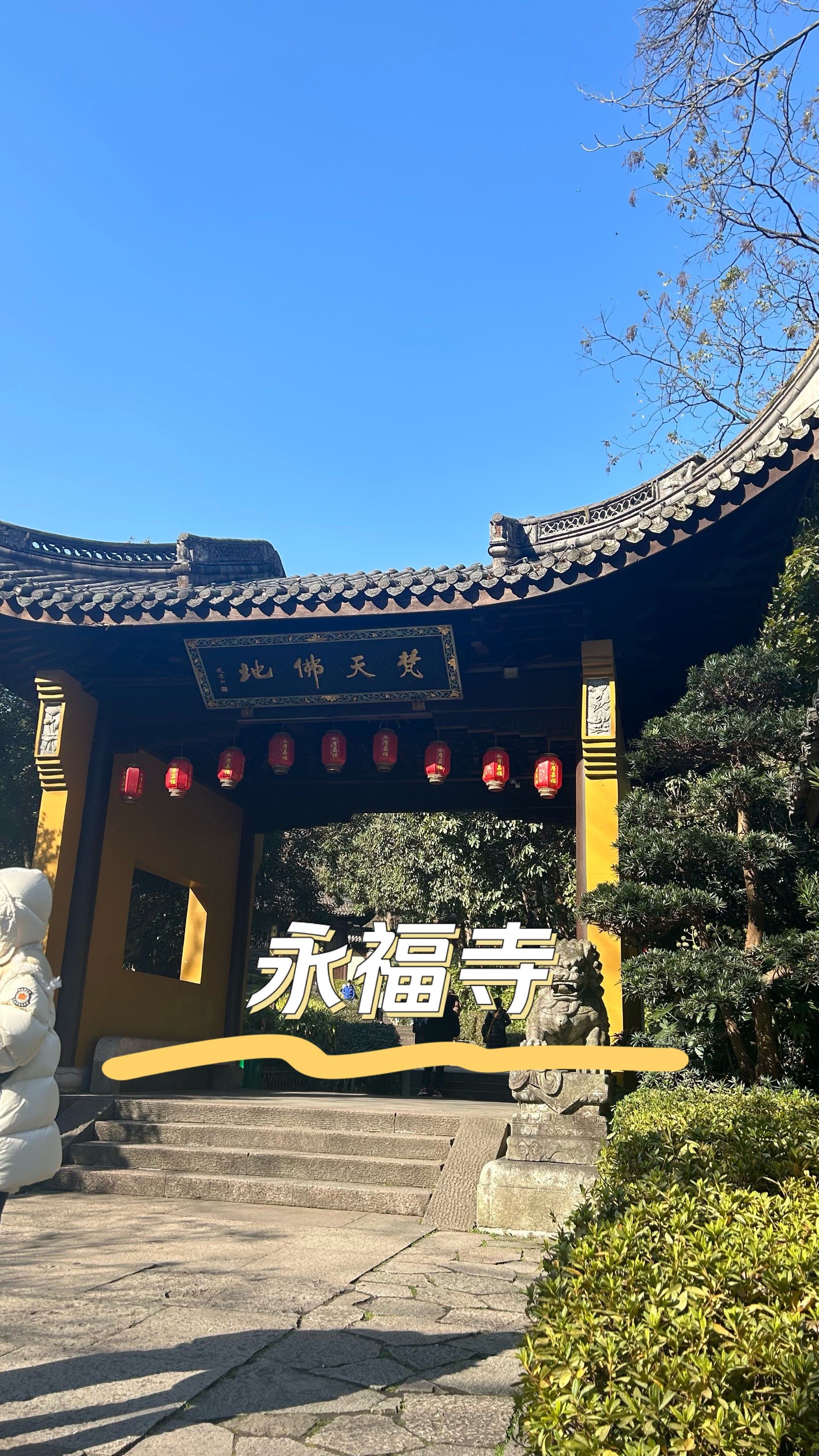 杭州公园年卡手机版(杭州公园年卡线上办理什么时候开始使用)